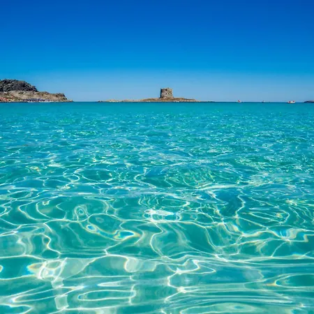Monte Calvia ヴィラ *