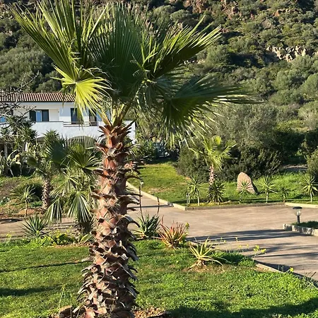 Villa Monte Calvia