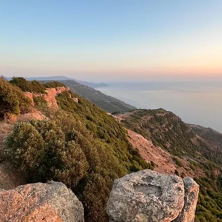 Monte Calvia